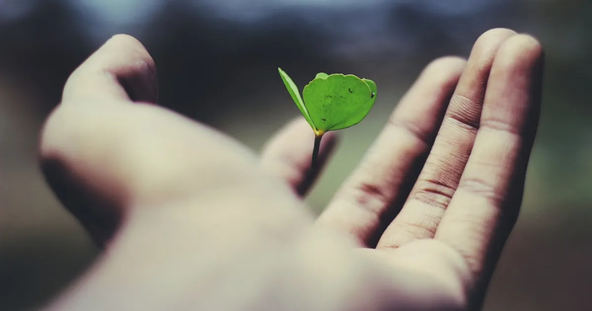 The Community Growth Framework: Why 90% of Communities Fail to Scale